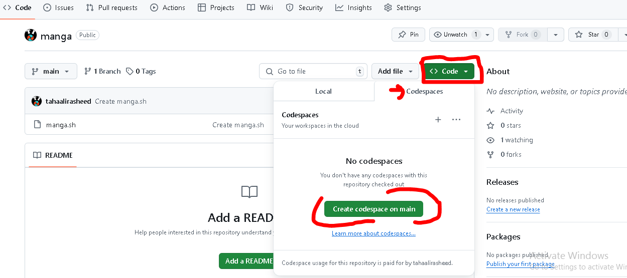git hub codespace swisstronik